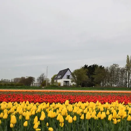 펜션 Attractive Holiday House In Katwijk Near The Beach